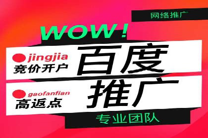 SEM主管实战：案例分析与优化策略